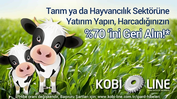 Tarım Hayvancılık Sektörüne Yatırım Yapacaklar Büyük Hibe Alacak!